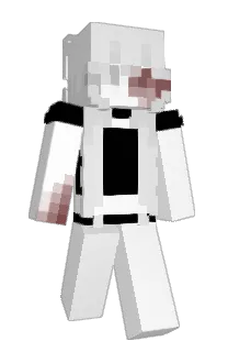 Front of Envizzy's skin