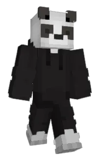 Front of Zonte's skin