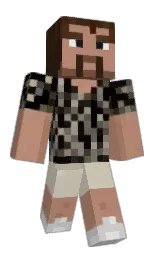 Classic Minecraft skin