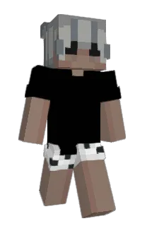 Front of zonqq's skin