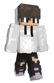 Front of femalepigeon's skin