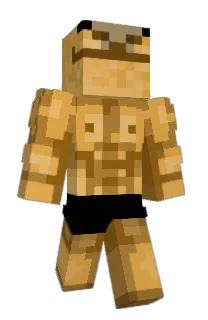 Front of Eevoid's skin