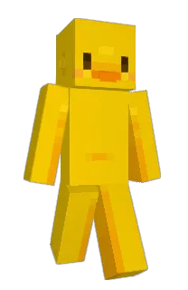 Front of epste's skin