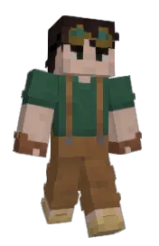 Skin preview