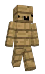 Altecer's Minecraft skin wearing the Migrator cape