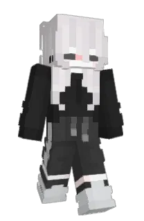 Front of miiuii's skin