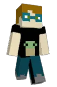 ZigTheFlig