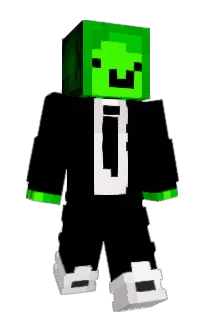 Front of Slwpt's skin