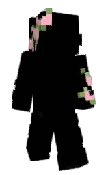 Slim Minecraft skin