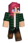 Skyvixel