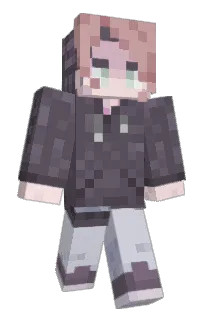 Front of InnSi's skin