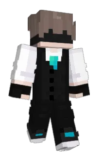 Front of T10708's skin
