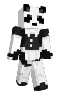 Front of iRods's skin