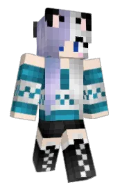 Skin preview