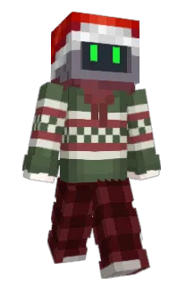 Front of AranBerry's skin