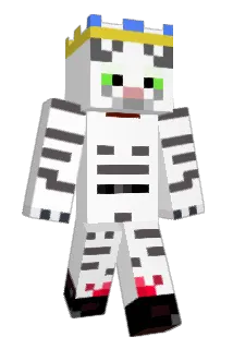 1953barb Minecraft avatar full body