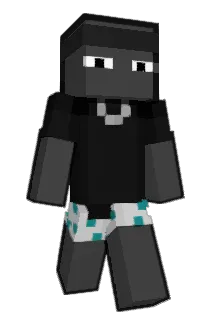 1962v Minecraft avatar full body
