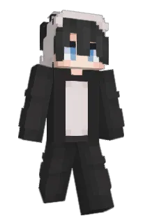 Front of CoolProNinja's skin