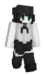 Slim Minecraft skin