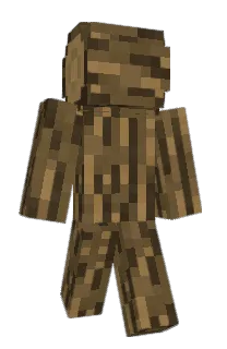 rroberr's Minecraft skin