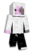 Haireiter