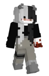 Front of BSzeth's skin
