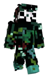 Skin preview
