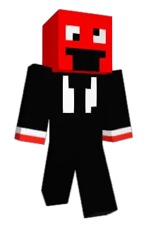 19SJ97 Minecraft avatar full body