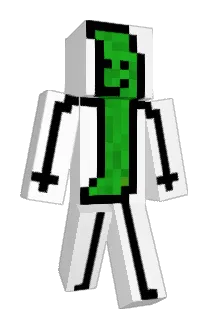 19_1919 Minecraft avatar full body