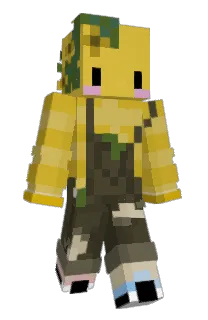 Front of Minecraft skin