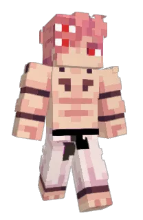 Front of SaiKou83's skin
