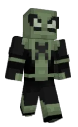 cod gray and willow grove Minecraft skin — Classic model