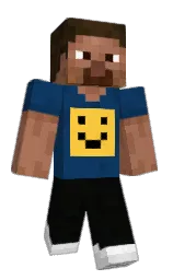 Minecraft skin — Classic model