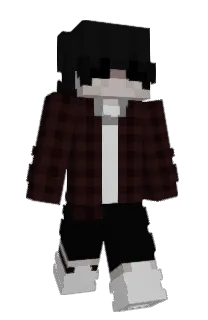 Front of brrip's skin