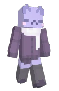 Front of Minecraft skin