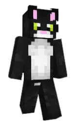 cod gray and mine shaft Minecraft skin — Slim model — first worn by Flawory