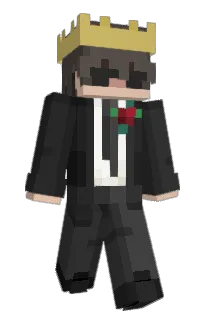 NotShamir_'s Minecraft skin