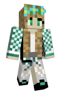 19dudi Minecraft avatar full body