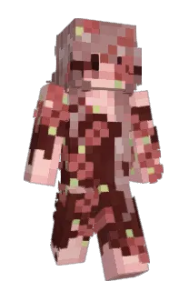 Front of Roselace's skin
