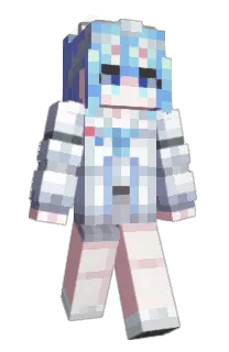 Front of Sharksucker's skin