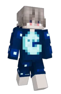 Front of vnlk's skin