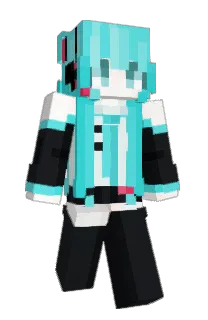 Front of vrly's skin