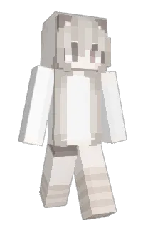 Front of idcccc's skin