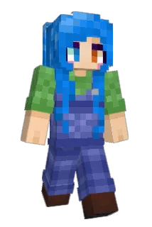 1B_G Minecraft avatar full body