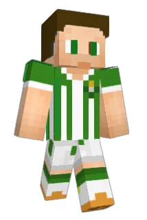 1Bicho Minecraft avatar full body