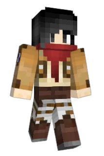 1Bingus Minecraft avatar full body