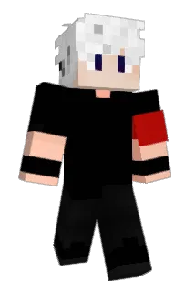 1Binny Minecraft avatar full body