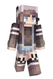 1D1 Minecraft avatar full body
