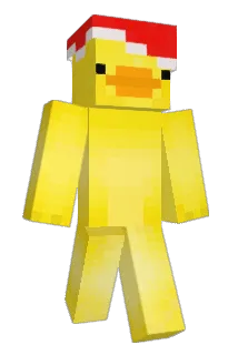 1DR_Duck Minecraft avatar full body