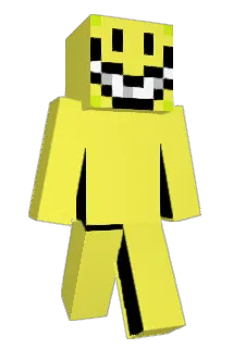 1Day1 Minecraft avatar full body